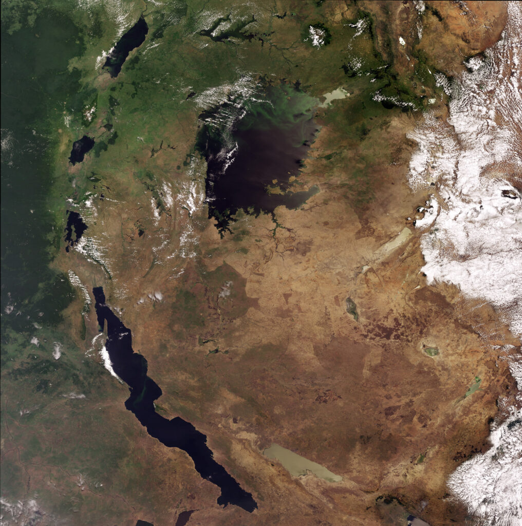 Vue satellite de la région des Grands Lacs d'Afrique.