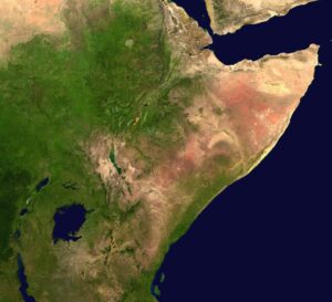 Vue satellite de la région de la Corne de l'Afrique.