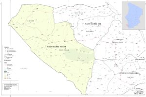 Carte de la province du Mayo-Kebbi Ouest