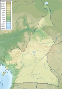 Carte physique vierge du Cameroun.