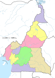Carte vierge colorée du Cameroun.