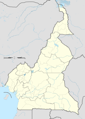 Carte vierge du Cameroun
