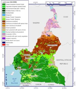 Carte du couvert végétal du Cameroun 2007.