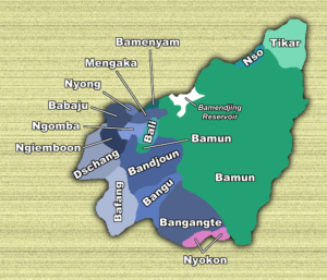 Carte des groupes ethno-linguistiques de la région de l'Ouest au Cameroun.