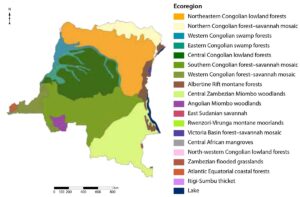 Carte des écorégions du WWF en république démocratique du Congo.