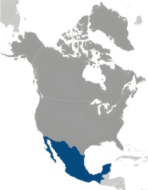 Où se trouve le Mexique ?