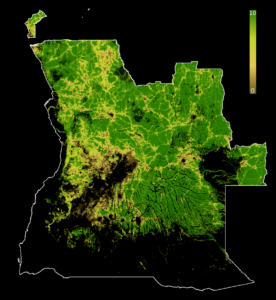 Carte 2019 de l'Indice d'intégrité des paysages forestiers de l'Angola.