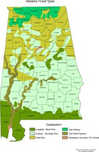 Carte forestière de l’Alabama.