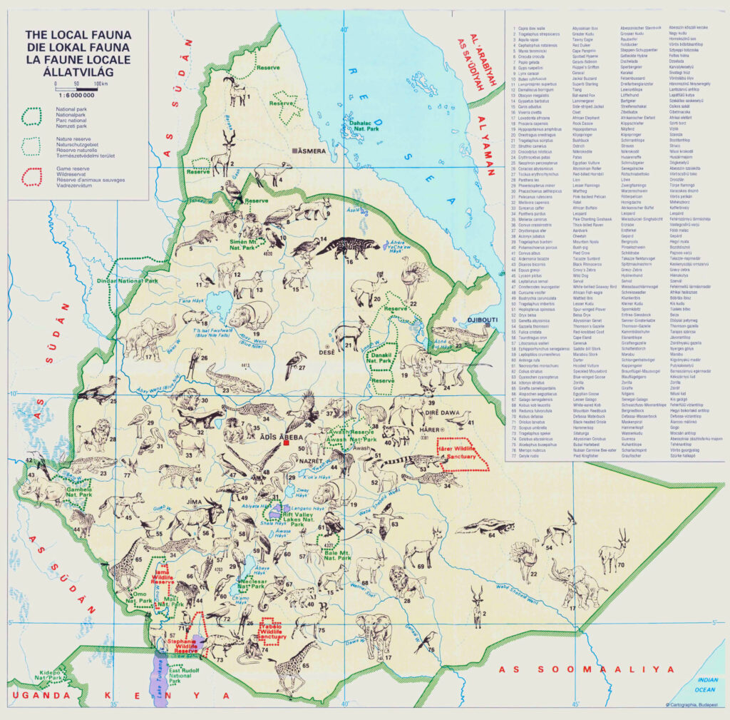 Carte de la faune d'Éthiopie.