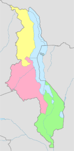 Carte vierge colorée du Malawi.