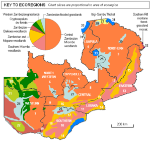 Carte des écorégions de la Zambie.