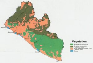 Carte de la végétation du Libéria de 1973.