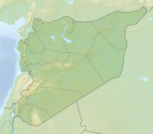 Carte physique vierge de la Syrie.