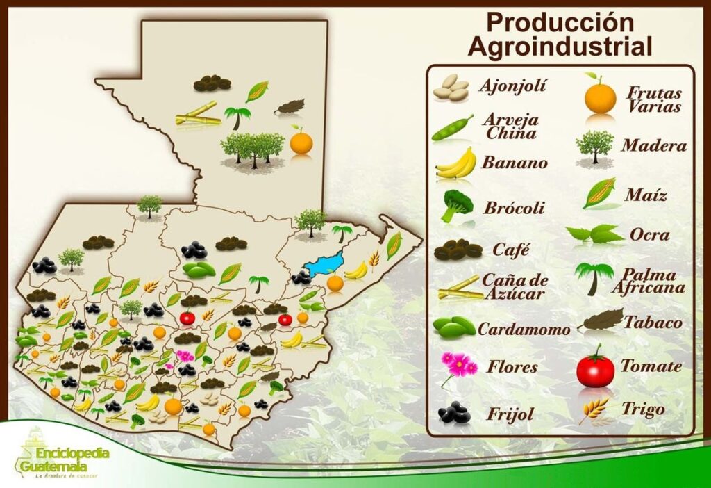 Carte agricole du Guatemala.