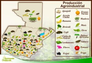 Production agro-industrielle au Guatemala