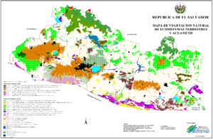 Carte de la végétation naturelle, des écosystèmes terrestres et aquatiques du Salvador.