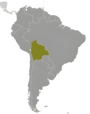 Où se trouve la Bolivie ?