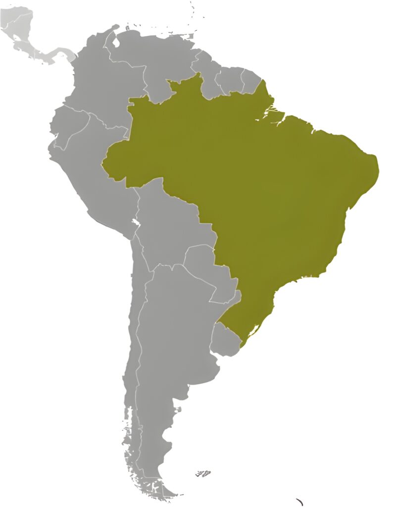 Carte de localisation du Brésil