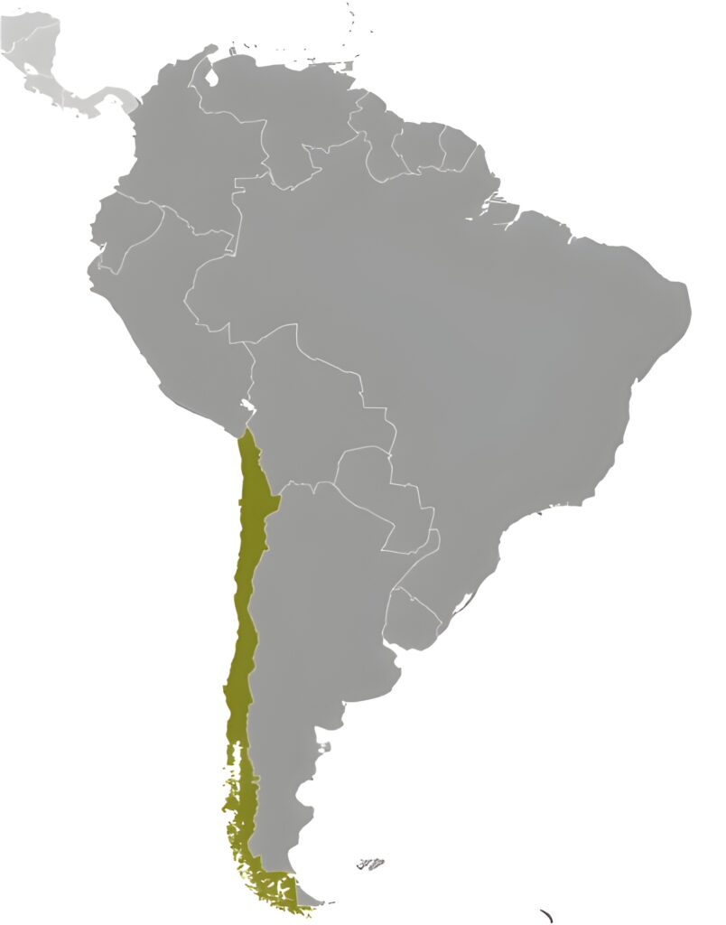 Carte de localisation du Chili