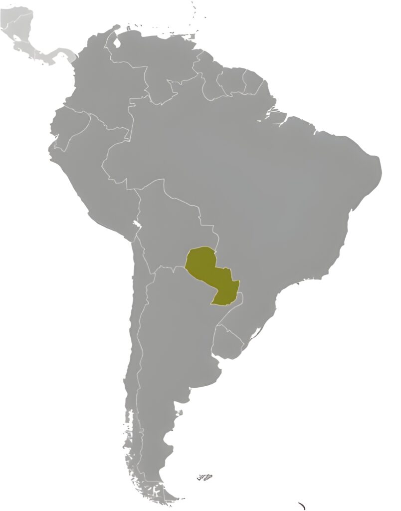 Carte de localisation du Paraguay