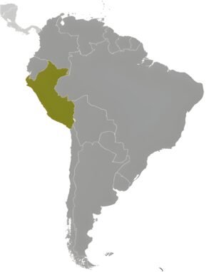 Où se trouve le Pérou ?