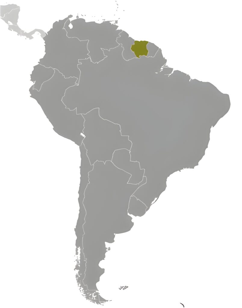 Carte de localisation du Suriname
