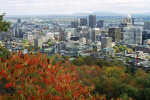 Centre-ville de Montréal depuis le Mont-Royal