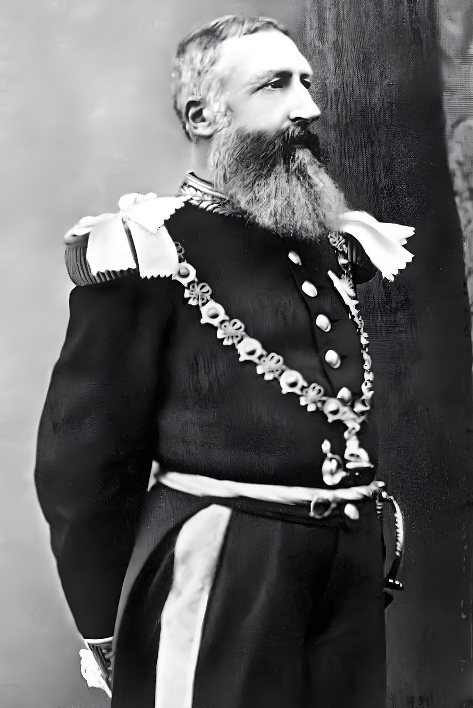 Léopold II, deuxième roi des Belges