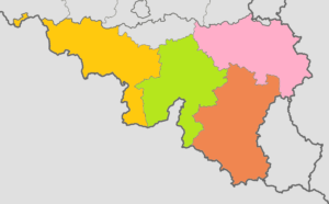 Carte vierge colorée de la Région wallonne.