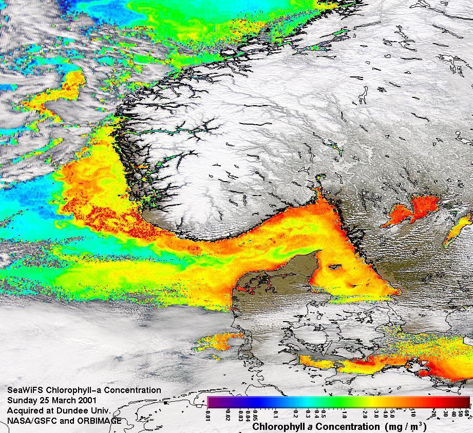 Toxic Bloom off the Coast of Norway - Full size | Gifex