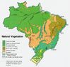 Vegetation of Brazil | Gifex