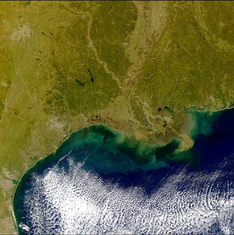 Gulf Coast Sediments