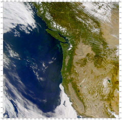 Fitoplancton cerca de la costa del estado de Washington