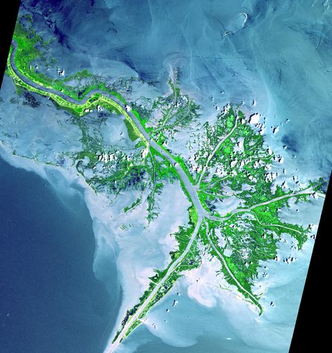 Delta del río Misisipi