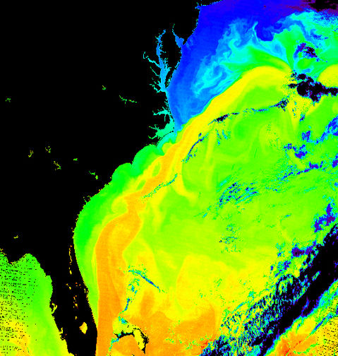 Corriente del Golfo cerca de la costa este de Estados Unidos