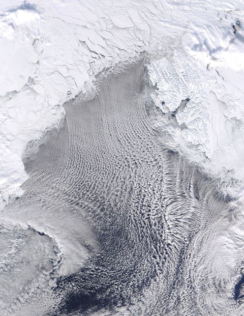 Cloud streets in the Greenland Sea