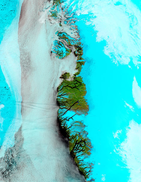 Meltwater ponds along Greenland West Coast (false color)