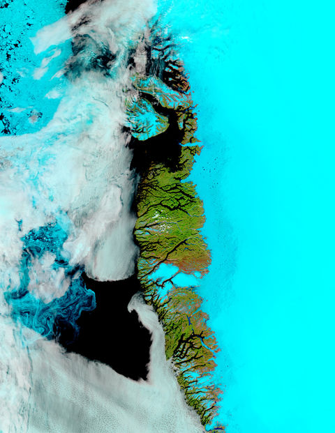 Meltwater ponds along Greenland West Coast (false color)