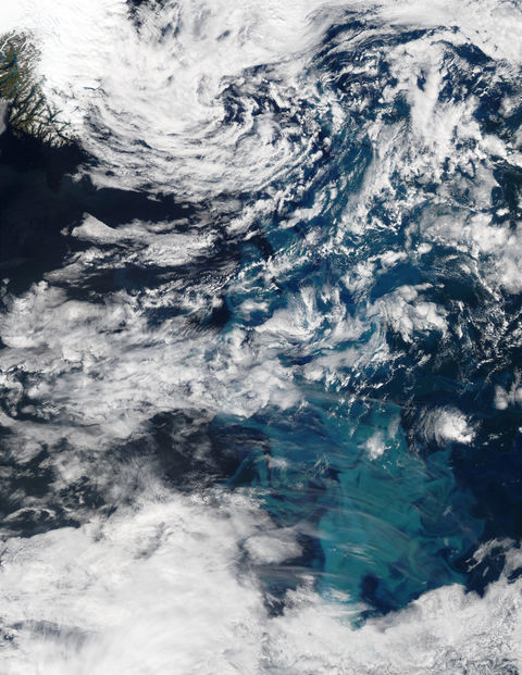 Proliferación de fitoplancton al sureste de Groenlandia