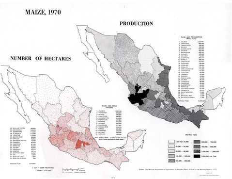 Producción de Maíz en México