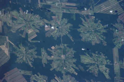 Tierras Bajas Deforestation, Bolivia