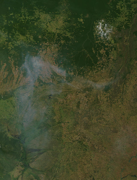 Fires and Deforestation in Brazil