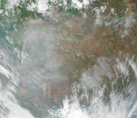 Fires and Deforestation in Brazil