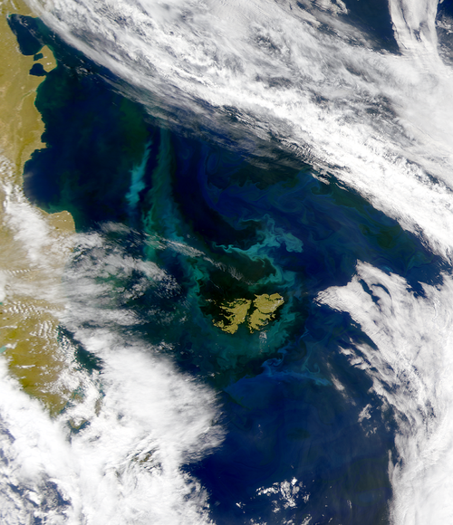 Una vista de SeaWiFS de las Islas Malvinas