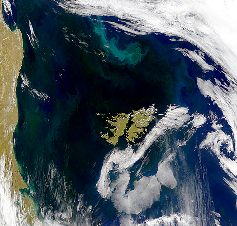 Phytoplankton blooms in the waters surrounding the Falkland Islands