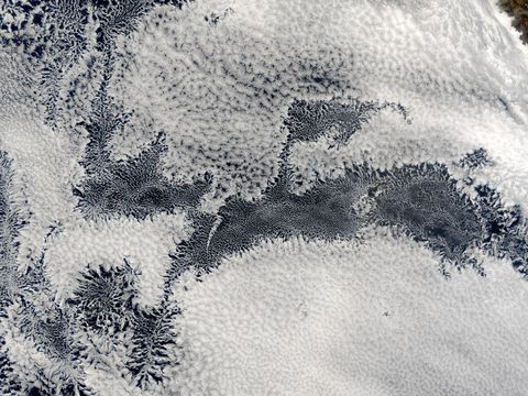 Open-cell and closed-cell clouds off Peru, Pacific Ocean