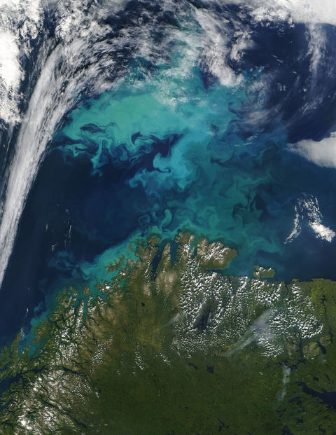 Phytoplankton bloom off Norway