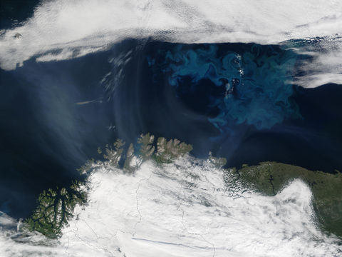 Humo de incendios proveniente de Saskatchewan (Canadá) y proliferación de fitoplancton cerca del norte de Noruega