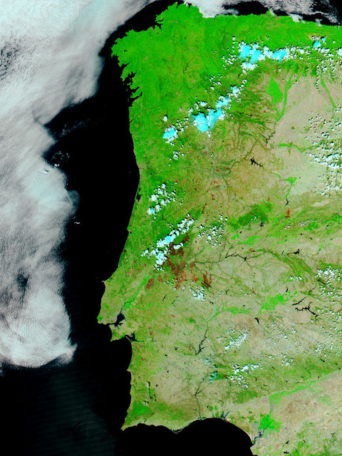 Incendios y cicatrices de los Incendios a través de Portugal