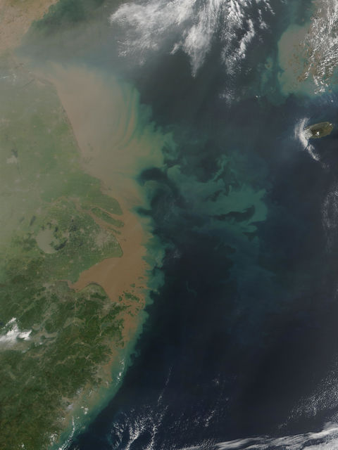 Sediments and Phytoplankyon bloom near the Mouth of the Yangtze